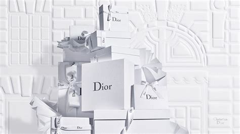 christsin dior|official christian dior website.